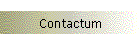 Contactum